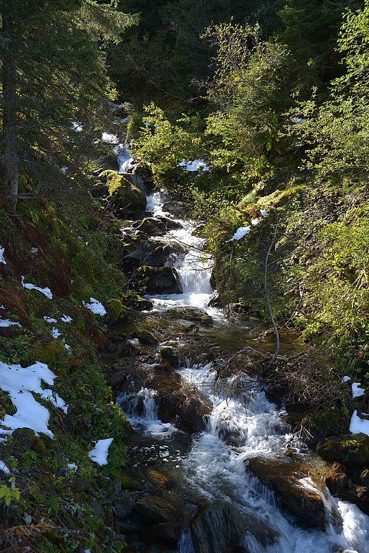DSC_1673.JPG
