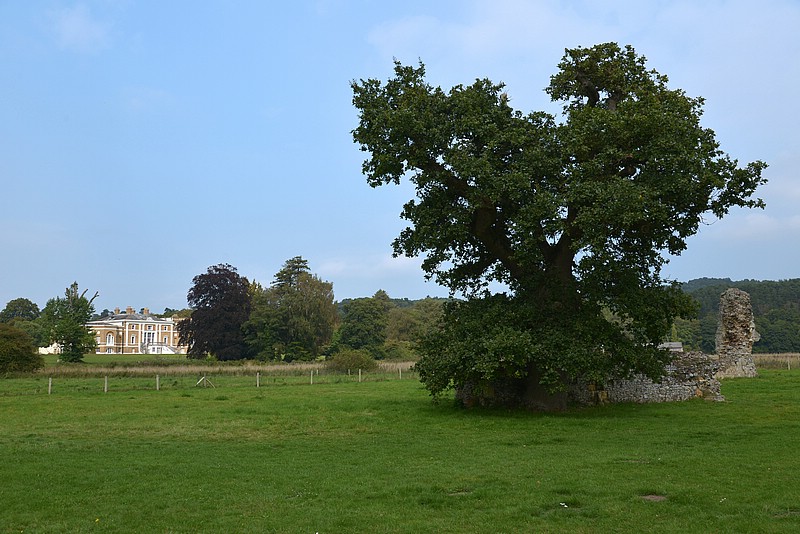 DSC_1968KF.jpg