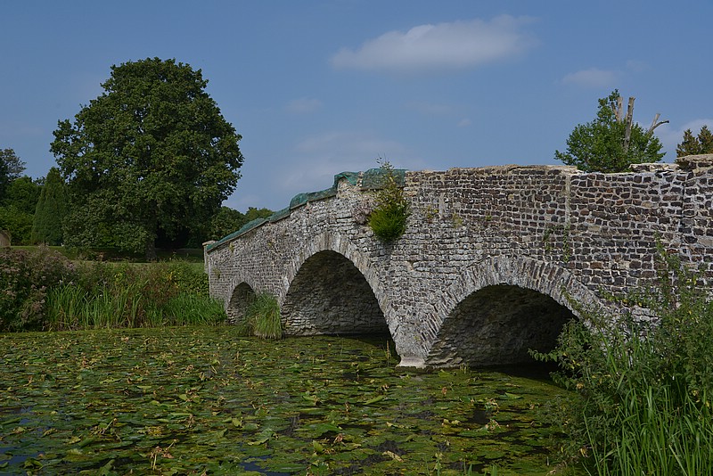 DSC_2022ECo.jpg