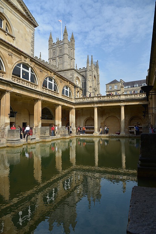 DSC_6336D.jpg
