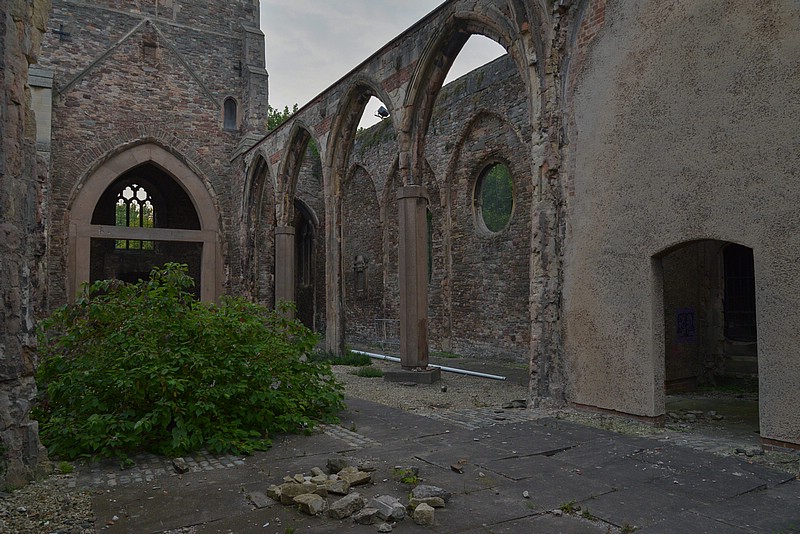 DSC_6485D_RAW.jpg