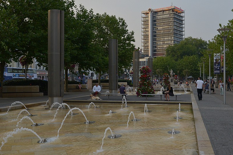DSC_6524CD.jpg