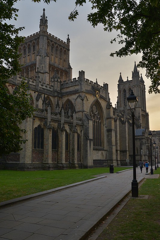 DSC_6530D_RAW.jpg