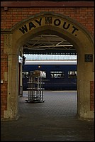 DSC_6421.JPG