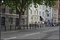 DSC_6464.JPG