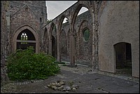 DSC_6485D_RAW.jpg