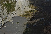 DSC_2326C.jpg