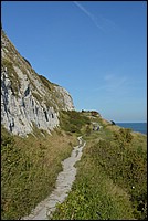 DSC_2337.JPG