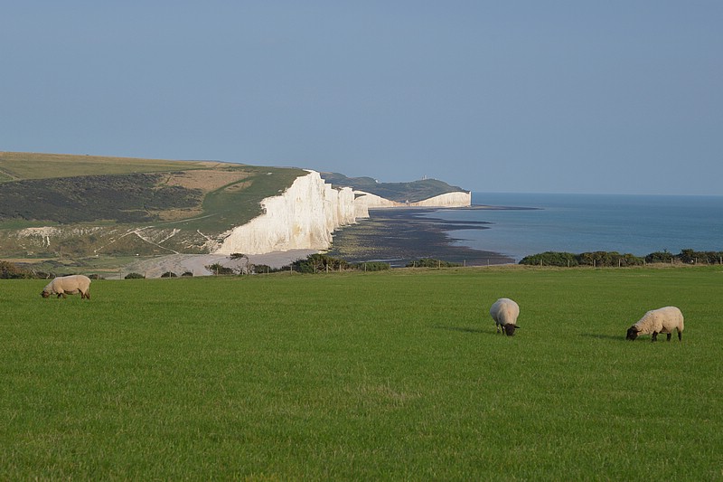 DSC_2767C.jpg