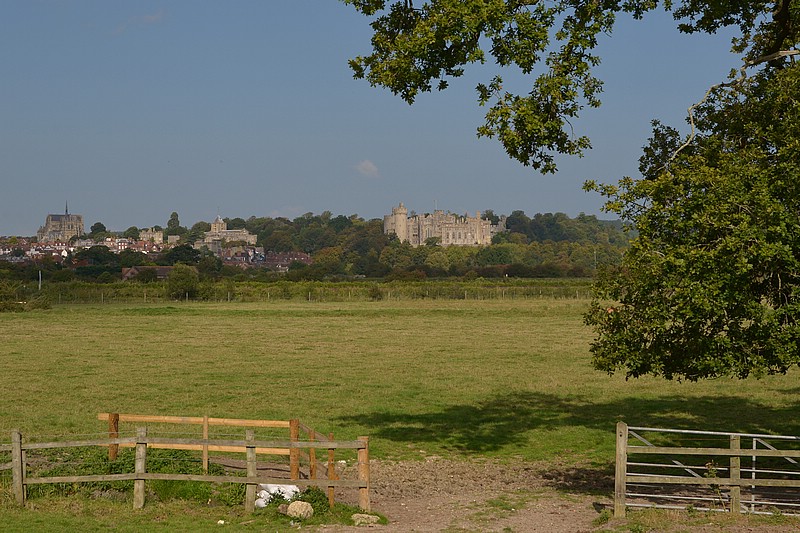 DSC_2846CD.jpg