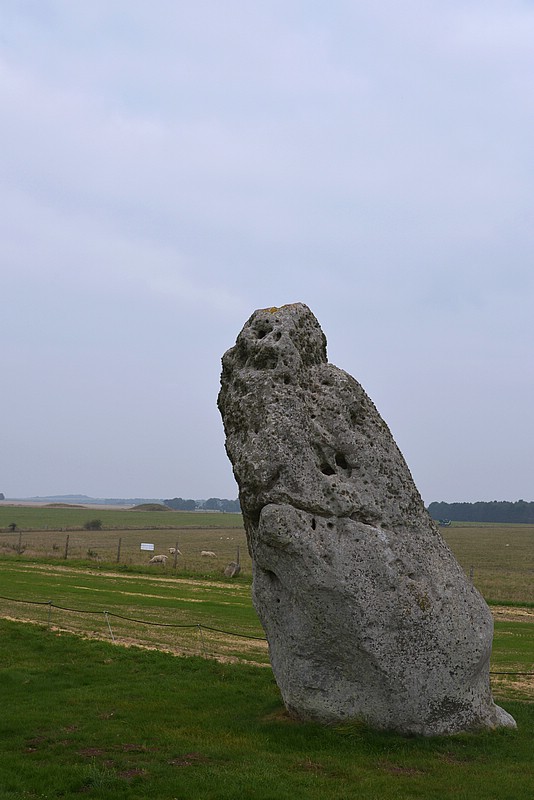 DSC_3467FK.jpg