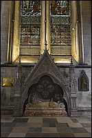 DSC_3675CE.jpg