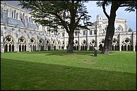 DSC_3717EF.jpg