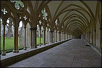 DSC_3748GF.jpg