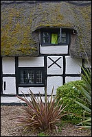 DSC_3774.JPG