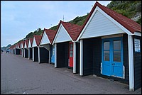 DSC_3797FCo.jpg