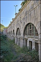 DSC_4246.JPG