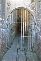 DSC_4261.JPG