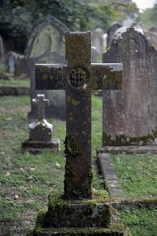 DSC_4408CoK.jpg