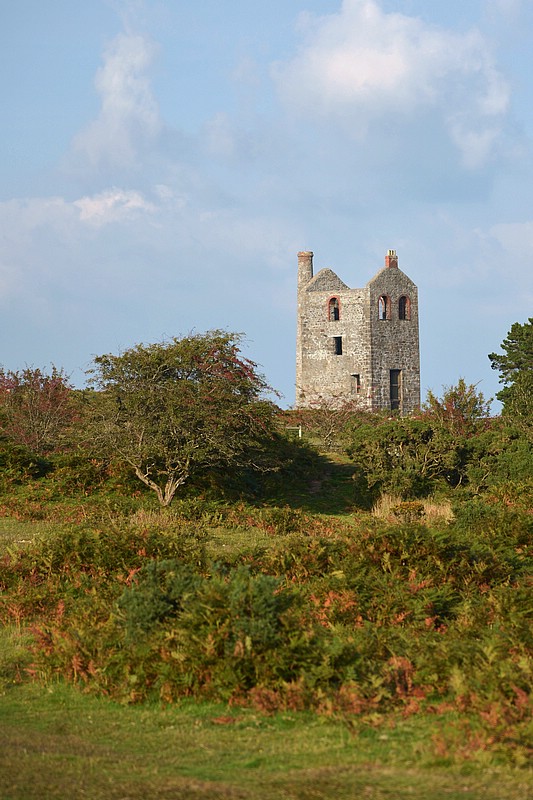 DSC_5009CFHK.jpg