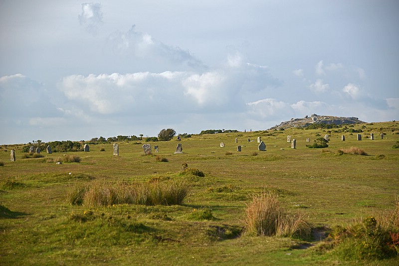 DSC_5011FK.jpg