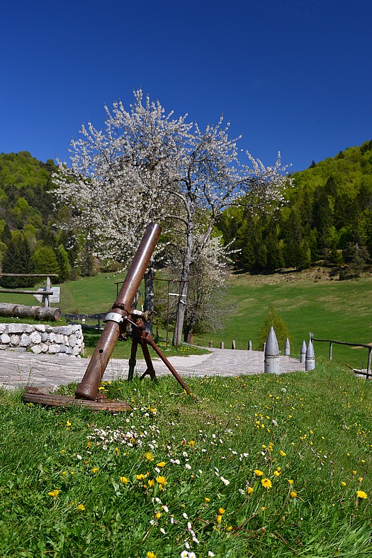 DSC_7635.JPG