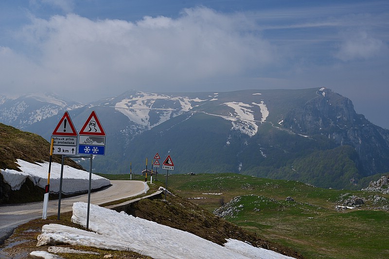 DSC_7698.JPG