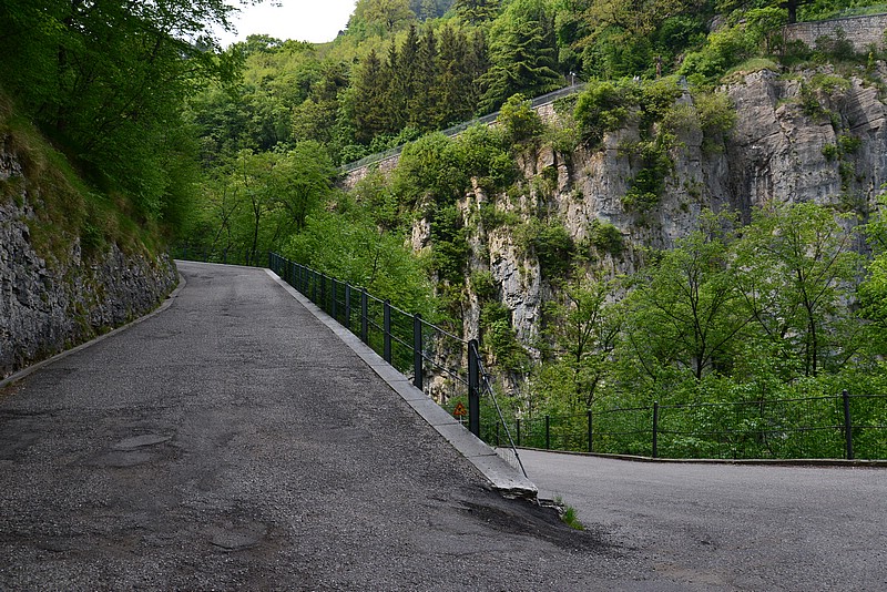 DSC_7806.JPG
