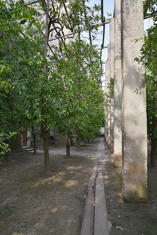 DSC_7953.JPG