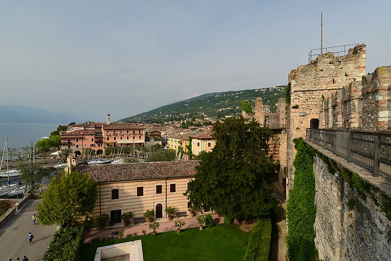 DSC_7978.JPG