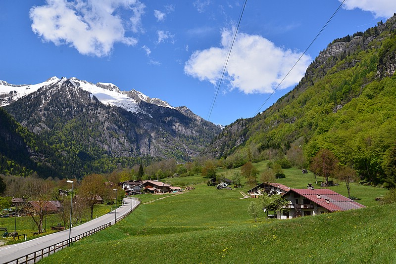 DSC_8102.JPG