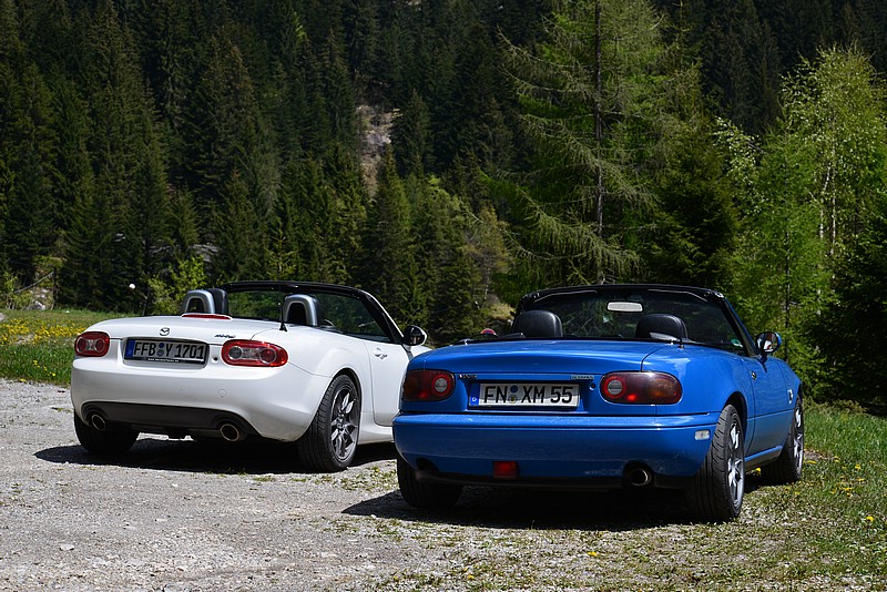 DSC_8135.JPG
