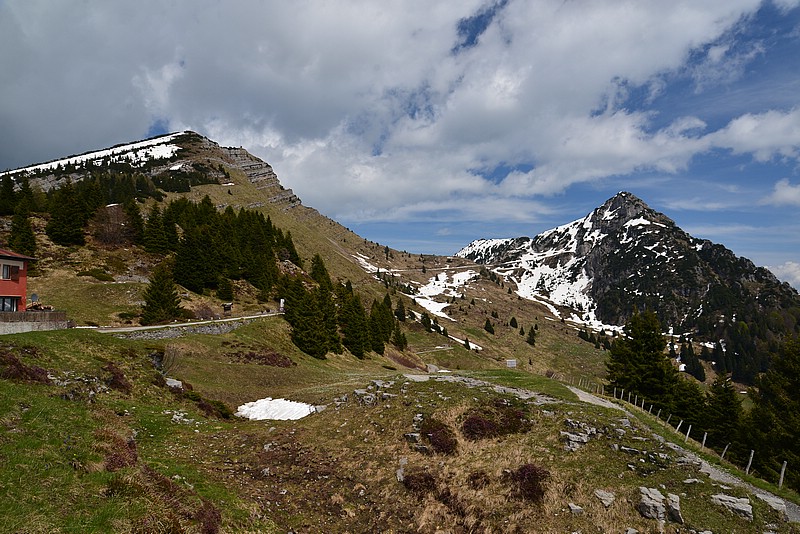 DSC_8161.JPG