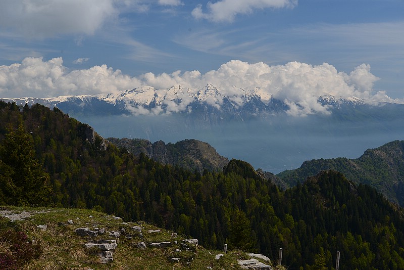 DSC_8162.JPG