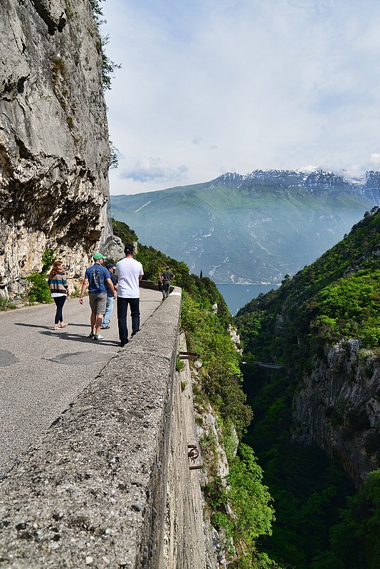 DSC_8193T.jpg