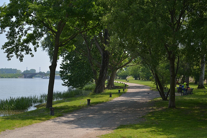 DSC_8249.JPG