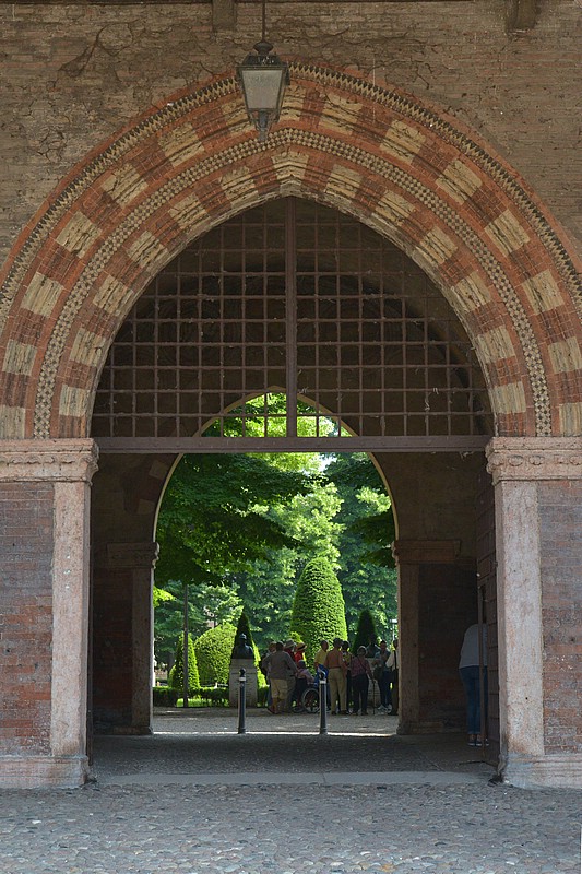 DSC_8382D.jpg