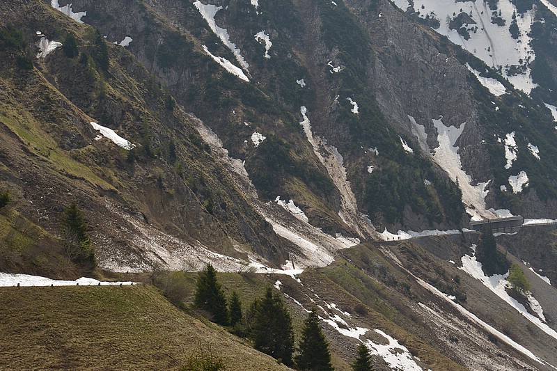 DSC_8447CK.jpg