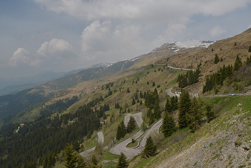 DSC_8449.JPG