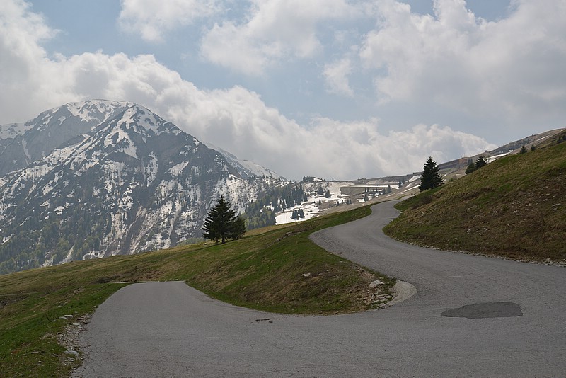 DSC_8470.JPG