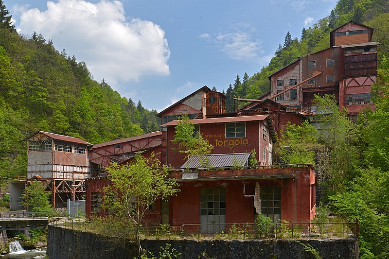 DSC_8492DGP.jpg