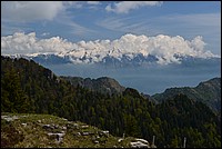 DSC_8162.JPG