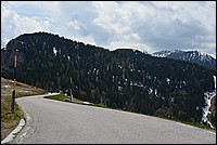 DSC_8177.JPG