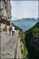DSC_8193T.jpg
