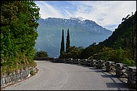 DSC_8217.JPG