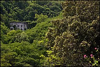 DSC_8220C.jpg