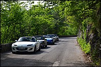 DSC_8229.JPG
