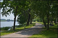 DSC_8249.JPG