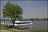 DSC_8254.JPG