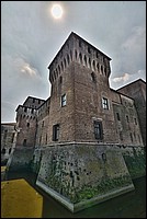 DSC_8271T.jpg